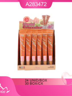 A283472-Corretivo Leve e Camuflando